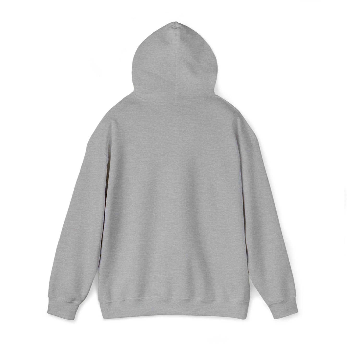 Greater Than Validation - Hooded Sweatshirt